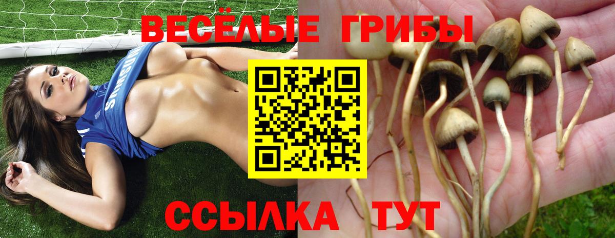 Когалым  даркнет сайт  Вход с VPN  Галлюциногенные грибы Magic Shrooms 